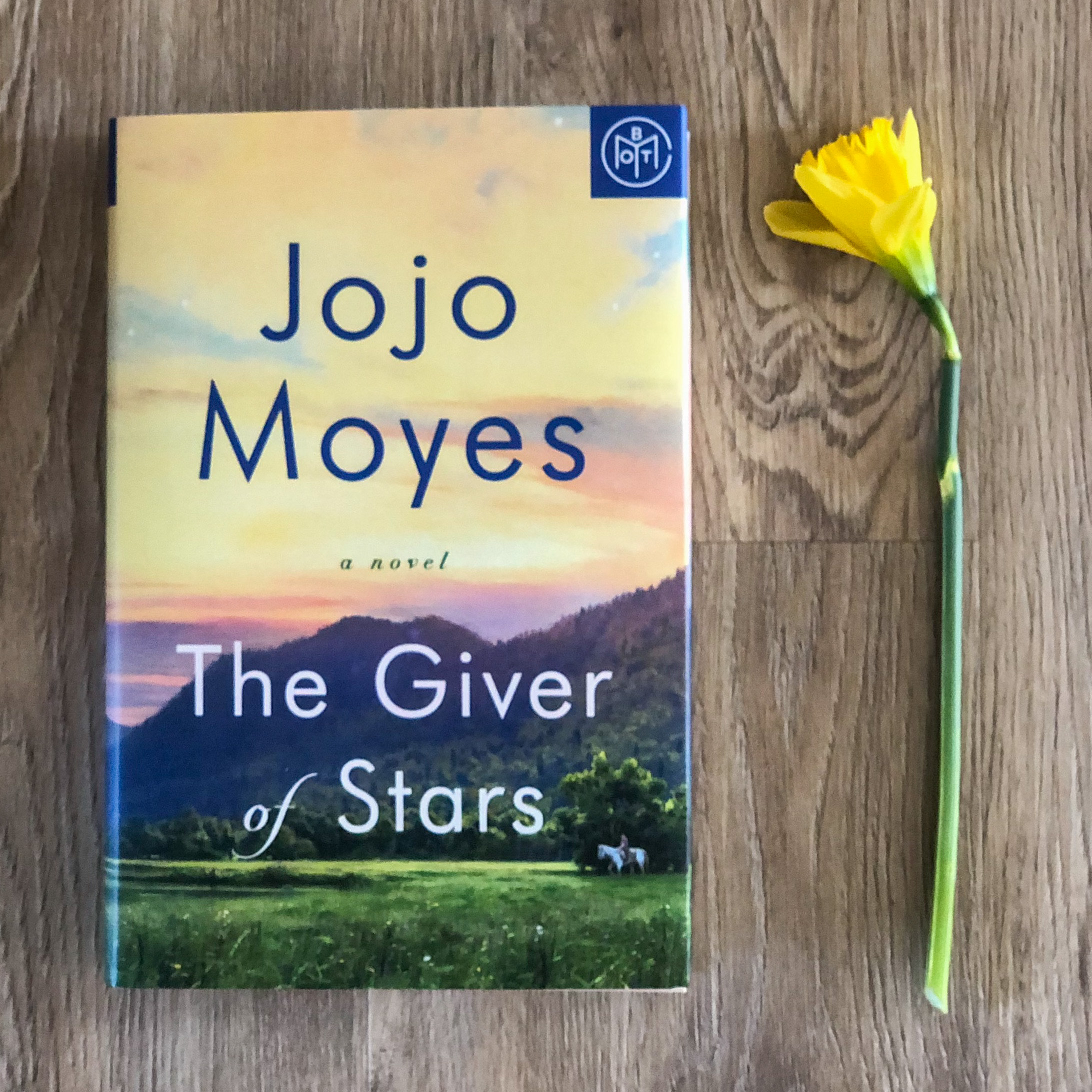 books similar to the giver of stars